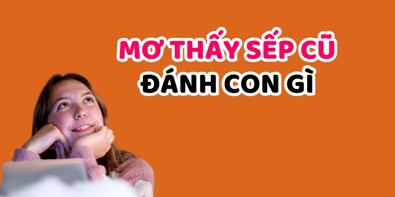 Mơ thấy sếp cũ đánh con gì?